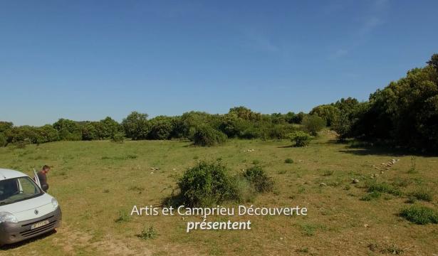 En Transhumance vers le bonheur – Transhumance en camion