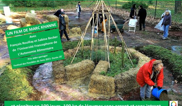 Créer un jardin hors sol sur du béton