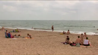 Harcelé à perdre la raison