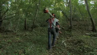 Le temps des châtaignes