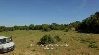 En Transhumance vers le bonheur – Transhumance en camion